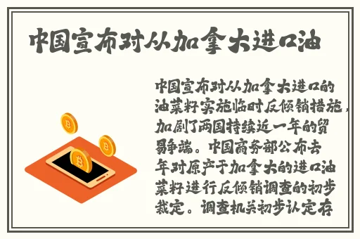 最新人与ZOOM